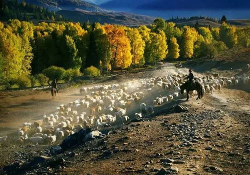 山河壮美，镜头下的锦绣中国 一场视觉与心灵的双重旅行